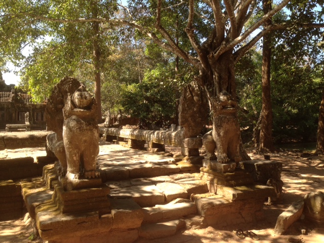 wp-1420986922421 image